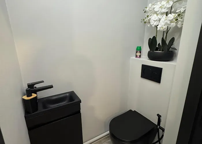 Panorama Majestic Daire *